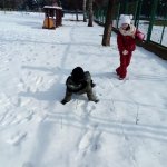 Zima 2018